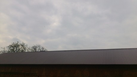 Przekładka, Lisiec Wielki